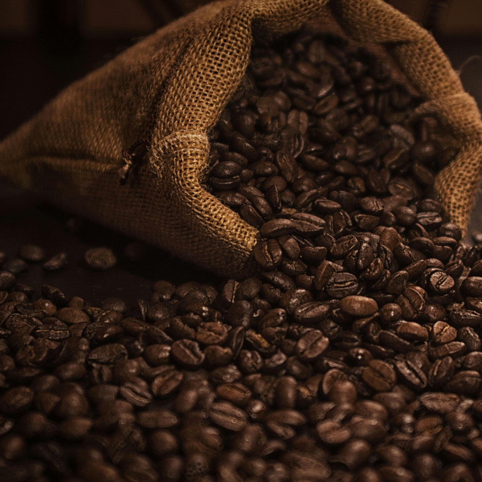 Find organic <br> farmers, <Br>suppliers, <br><span>and roasters</span>.